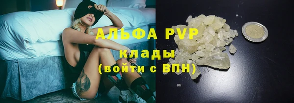 прущая мука Ельня
