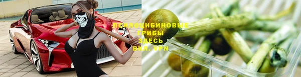 прущая мука Елизово