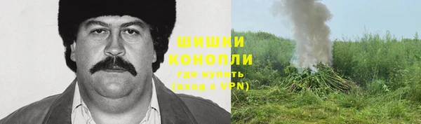 прущая мука Ельня