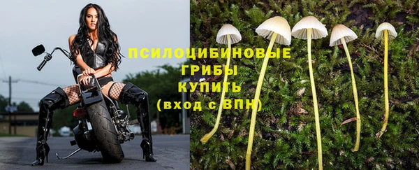 прущая мука Ельня