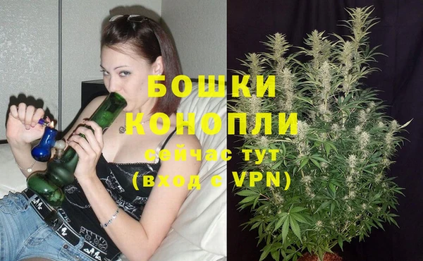 прущая мука Ельня